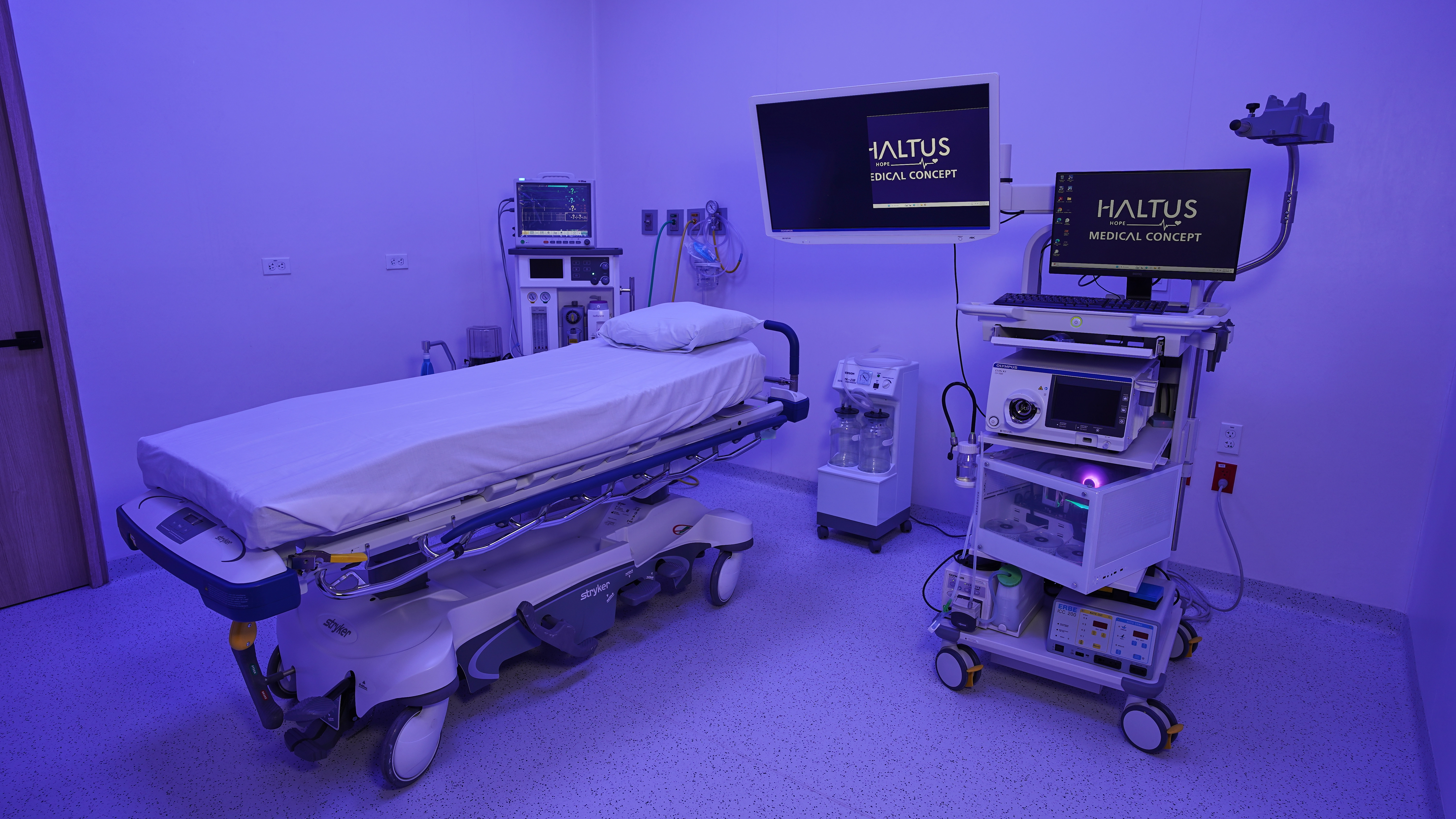 Endoscopia Haltus
